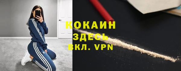 стаф Арсеньев