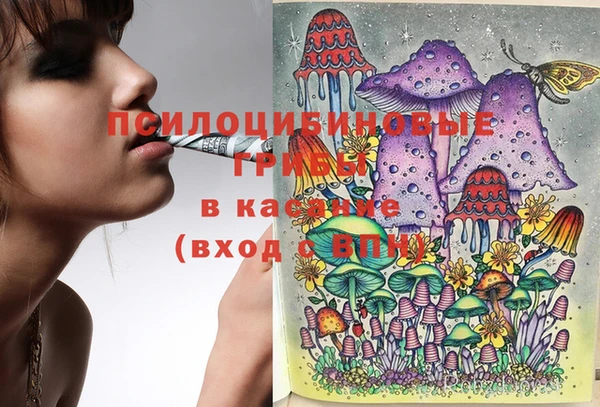 эйфоретик Аркадак