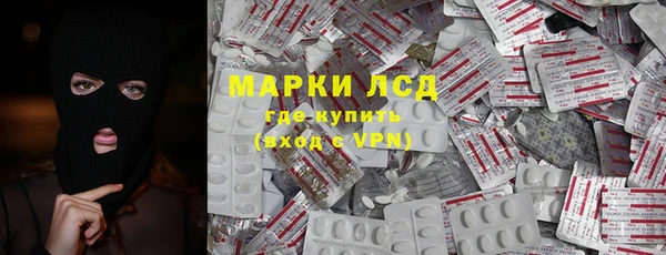 стаф Арсеньев