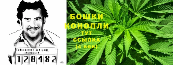 стаф Арсеньев