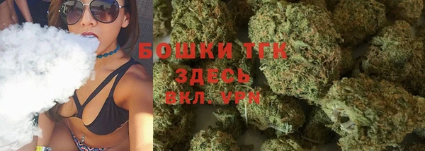 эйфоретик Аркадак