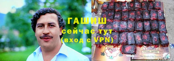 стаф Арсеньев