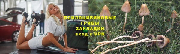 стаф Арсеньев