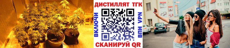 цена наркотик Заволжск Дистиллят ТГК жижа